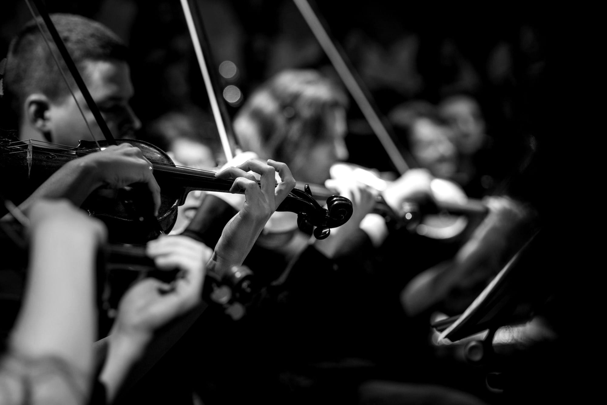 people playing violin inside dim room
